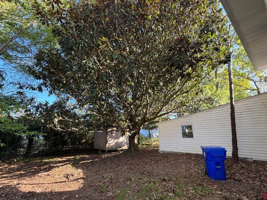 Lion Tree Service and Landscaping LLC project photo 11